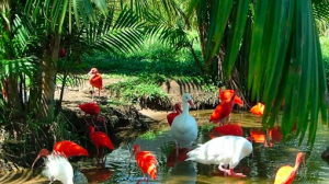 embed signage - digital signage software - carbon reduction - amazon-north-east-preservation