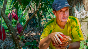 embed signage - digital signage software - carbon reduction - biodiversity-protection-peru