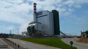 embed signage - digital signage software - carbon reduction - biomass-chile