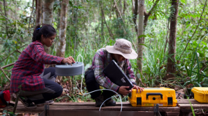 embed signage - digital signage software - carbon reduction - conservation-indonesia