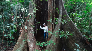 embed signage - digital signage software - carbon reduction - rainforest-protection-brazil