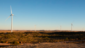 embed signage - digital signage software - carbon reduction - renewable-wind-south-africa